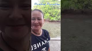 ISLAND REPUBLIC OF PALAU  