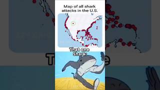 Shark chill moment 