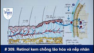 #309. Retinol kem chống lão hóa và nếp nhăn mọi người nên có