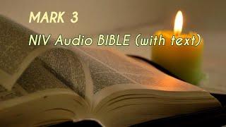 Mark 3: NIV Audio BIBLE (with text)