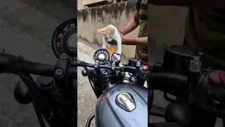 RPM meter on Hunter 350 | Dual meter modification on Hunter 350 #hunter350 #reincarnatedrider