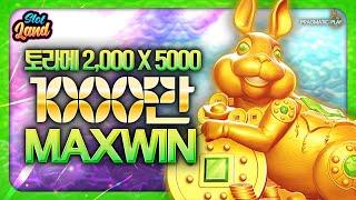 [슬롯머신] [슬롯] 5 래빗 메가웨이즈 5000배 맥스윈 Pragmatic Play MaxWin