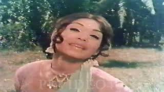 SAIYAAN MAIN TERI NOKAR AAN . NOOR JEHAN . ALIYA . Ghairat Te Qanoon