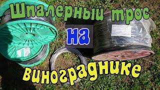 Виноград .Какой шпалерный трос выбрать?