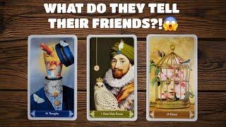  WHAT DO THEY TELL THEIR FRIENDS ABOUT YOU| PICK A CARD LOVE READING 