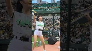 台鋼女神#安芝儇 #안지현 #wingstars  #台鋼雄鷹啦啦隊 #台鋼雄鷹 vs  #味全龍