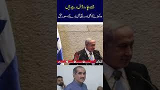 Whoever is being fed will eat it and the government will kill it, Saad Rafique