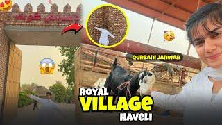Haveli of Syed family at small village of Sindh ️ || Qurbani ka janwar 