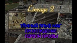 Asterios x1 / x1,5  1 профа на мага Темных Эльфов Lineage 2