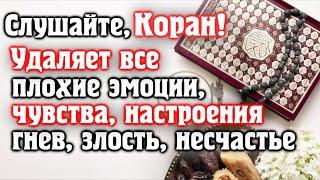  СЛУШАЙТЕ КОРАН - УДАЛЯЕТ ВСЕ ПЛОХИЕ ЭМОЦИИ, ЧУВСТВА, НАСТРОЕНИЯ, ГНЕВ, ЗЛОСТЬ, НЕСЧАСТЬЕ