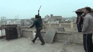 Old Delhi Kabootarbazi