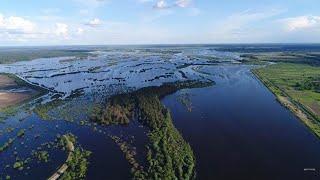 РІЧКА СЛУЧ ВИЙШЛА З БЕРЕГІВ.  САРНИ. ПОЛІССЯ