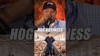 How the Hog Business is One of The Best Food Production Systems