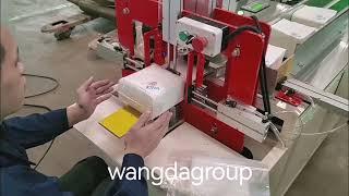 semi automatic napkin packing machine testing