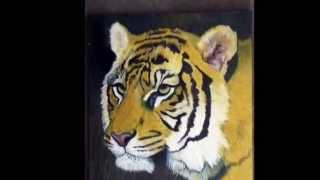 Oil Painting Demo of Sumatran Tiger Head by Australian Artist Garry Purcell