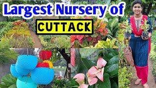 Largest Nursery of Cuttack | Largest Nursery tour  #nurseryvisit #lipshaworld #nurserytour #plantsid