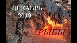 РЫБЫ. ДЕКАБРЬ 2019 г. ГЛАВНЫЕ ЗАДАЧИ МЕСЯЦА!