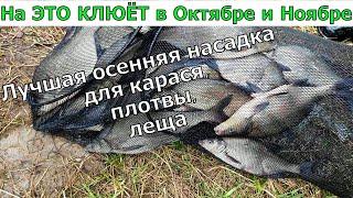 Секрет успешной рыбалки поздней осенью. Супер рыболовная насадка .Насадка для ловли леща, карася.
