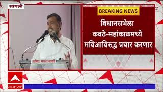 Vishal Patil : विधानसभेला कवठे महामंडळमध्ये मविआविरूद्ध प्रचार करणार - विशाल पाटील