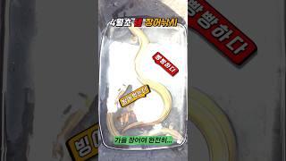 #장어낚시 #fishing #낚시 #전투낚시 초봄 댐 장어낚시 빙어 따라서 상류권 올라왔다. 2025.04.11