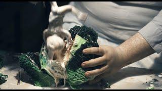 Cabbage Cloning! - PATCH TOWN -  WTF is this movie...