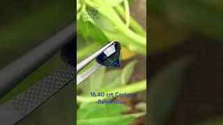 Royal Blue Sapphire Ceylon Origin Direct Source of Sapphire Supplier #gemstone #sapphire