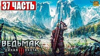 ПОЛНОЕ ПРОХОЖДЕНИЕ ВЕДЬМАК 3 RTX [4K]  Часть 35  The Witcher 3 Wild Hunt На Русском  На ПК