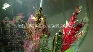 Meditation music 432hz: Little Fish Swimming