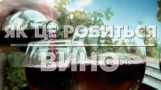 Таємниці сонячного напою: технологія та рецептура виробництва закарпатського вина