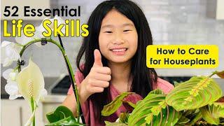 How to Care for Houseplants: Succulents, Orchid, Lily, Prayer Plant (52 Essential Life Skills)