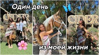 один день из моей жизни 