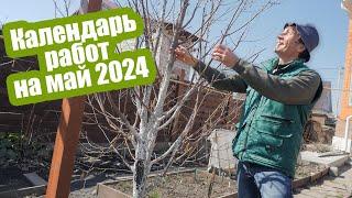 Лунный календарь садовода на май 2024. Благоприятные дни для посадки в мае