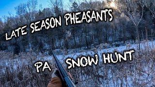 Hunting Late Season PA Pheasants (SNOW HUNT)