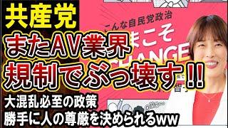 【共産党】AV業界をぶっ壊す‼日本から排除する気満々の政策がやばい！女性だけ救い男性無視の政策が盛沢山