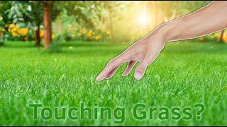 ACTUALLY Touching Grass!? (100 Subscribers Special: Hand Reveal)