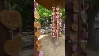 Shrine in Japan #japan #shorts #culture #shrine #japanese  #kobe