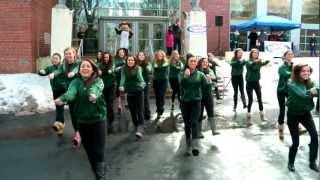 One Billion Rising at Siena College