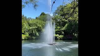 Pukekura park New Plymouth