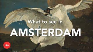 Artworks to See in Amsterdam's Museum District (Museumplein) I Behind the Masterpiece