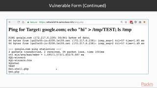 Binary Exploits with Python :  Ping Form (with Challenge)   | packtpub.com