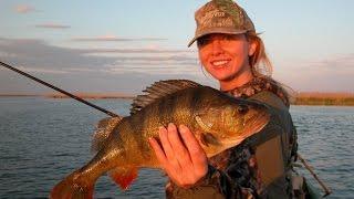 Ловля окуня на реке Оке.  Отводной поводок или Каролина (Carolina) Bass fishing .