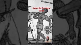 ALL Southern Whites Supported Slavery #history #amercia #war #usa #blm #civilwar #politics