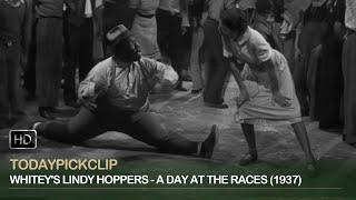 [HD] Whitey's Lindy Hoppers | A Day At The Races (1937) | All Gods Children Got Rhythm