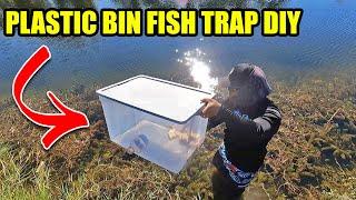DIY PLASTIC BIN FISH TRAP | Monster Mike Fishing