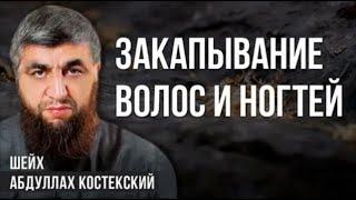 Нужно ли закапывать волосы и ногти - шейх Абдуллах Костекский