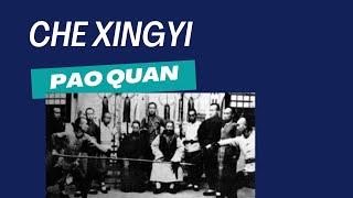 che style xingyi pao quan.wmv