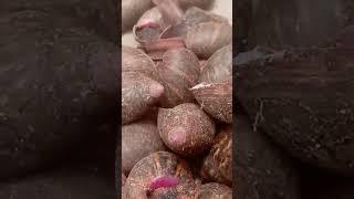 Table size snail available for sell #snailfarm #snail #snailery #youthimpact #food #bayelsastate