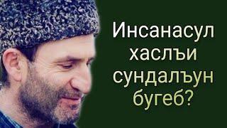 Инсанасул хаслъи сундалъун бугеб?