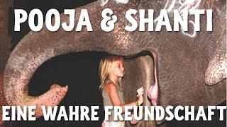 Pooja & Shanti - Freundschaft zwischen einem 6-jährigen Mädchen und einem Tempelelefanten