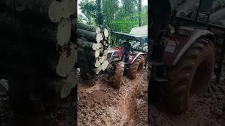 Mahindra Arjun 605 Di 4WD  Biggest Tractor Wood pulling #tractor #mahindraindia